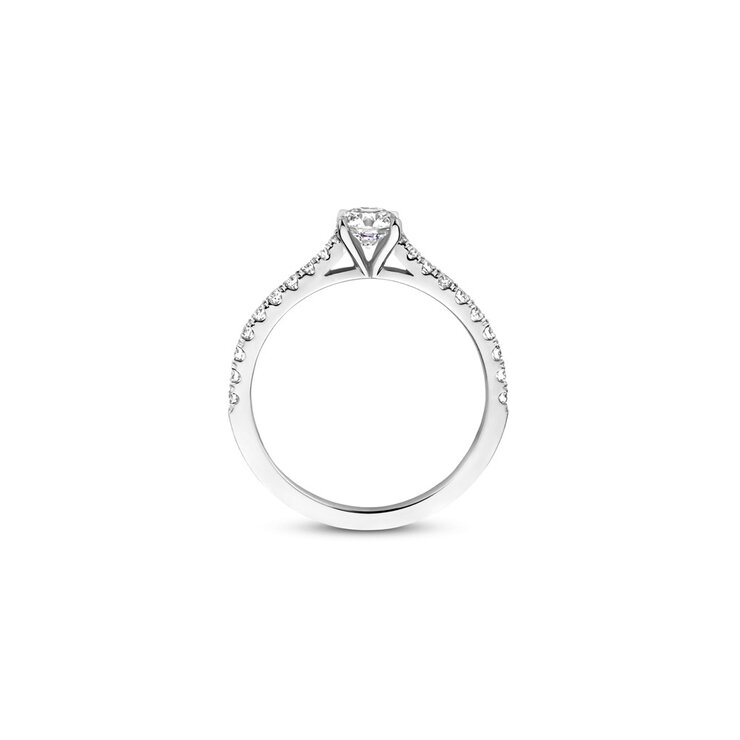 The Exclusive Collection verlovingsring in wit goud 18kt met briljant (ronde diamant) van 0,39 karaat als hoofdsteen omringd door briljanten van 0,28 karaat