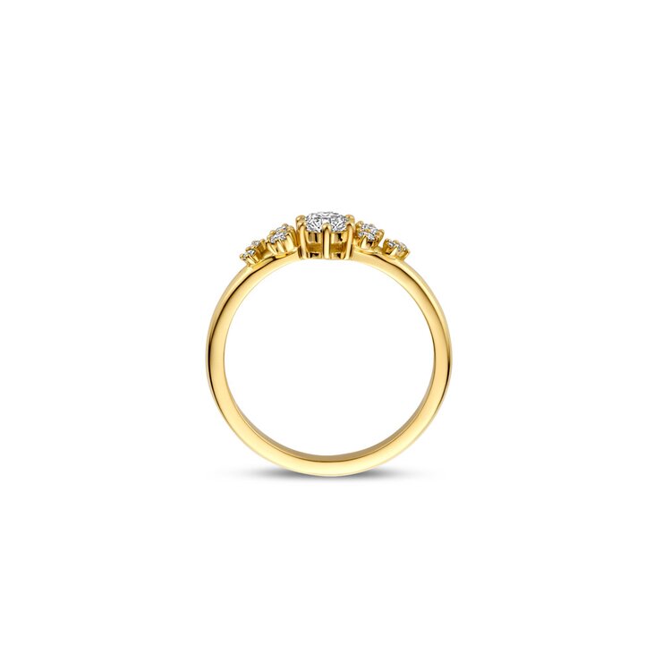 The Exclusive Collection verlovingsring in geel goud 18kt met briljant (ronde diamant) van 0,29 karaat als hoofdsteen omringd door briljanten van 0,11 karaat