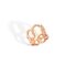 Pomellato ring in rosé goud 18kt met bruine briljant van 0,30 karaat - thumb