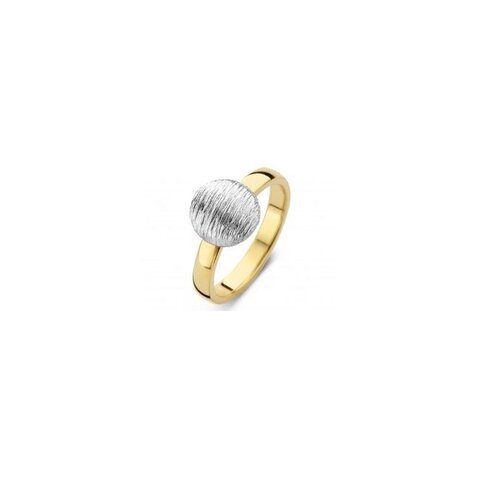 Casteur by Casteur ring in geel en wit goud 18kt