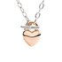 DoDo ketting in rosé goud 9kt en zilver - thumb